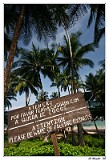Falling Coconuts